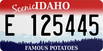 ID license plate E125445