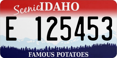 ID license plate E125453