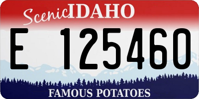 ID license plate E125460
