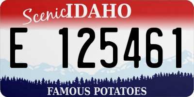 ID license plate E125461