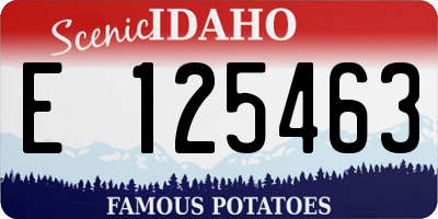 ID license plate E125463