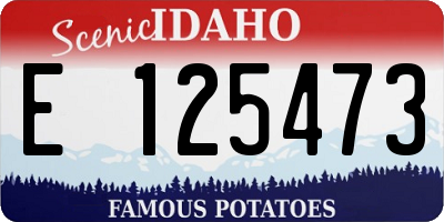 ID license plate E125473