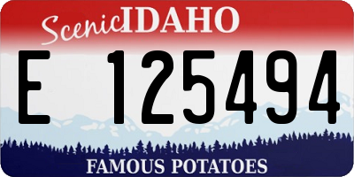 ID license plate E125494