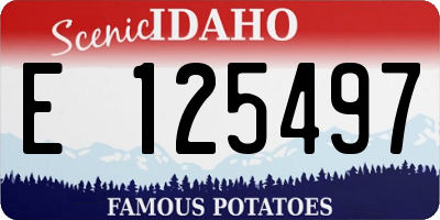 ID license plate E125497