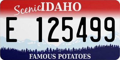 ID license plate E125499