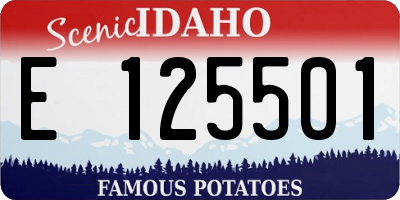 ID license plate E125501