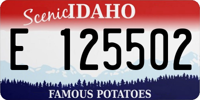 ID license plate E125502