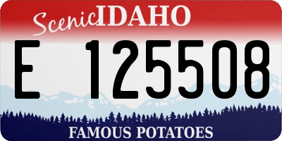 ID license plate E125508