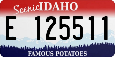 ID license plate E125511