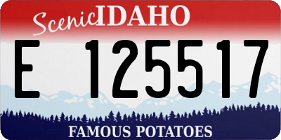 ID license plate E125517