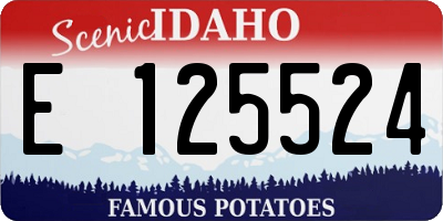 ID license plate E125524