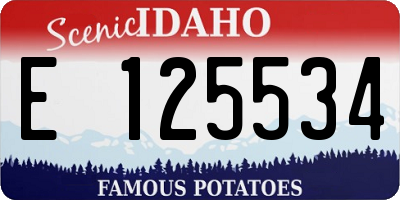 ID license plate E125534