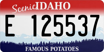 ID license plate E125537