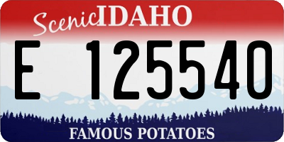 ID license plate E125540