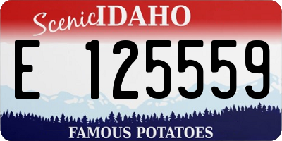ID license plate E125559