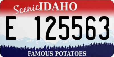 ID license plate E125563