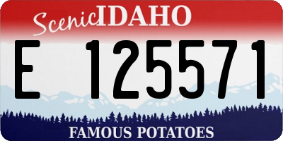 ID license plate E125571