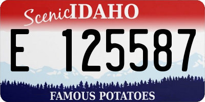 ID license plate E125587