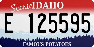 ID license plate E125595