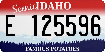 ID license plate E125596