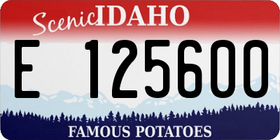 ID license plate E125600