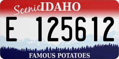 ID license plate E125612
