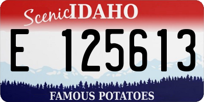ID license plate E125613