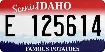 ID license plate E125614