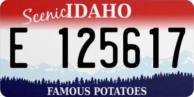 ID license plate E125617