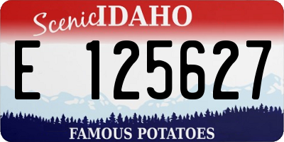 ID license plate E125627