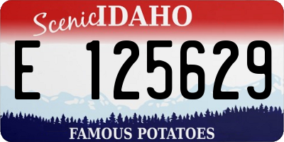 ID license plate E125629