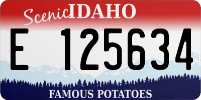 ID license plate E125634