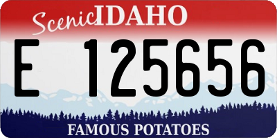 ID license plate E125656