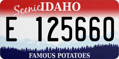 ID license plate E125660