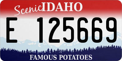 ID license plate E125669