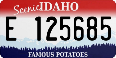ID license plate E125685