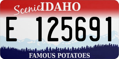 ID license plate E125691