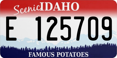 ID license plate E125709