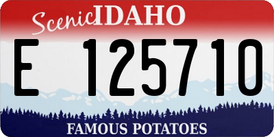 ID license plate E125710