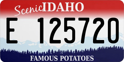 ID license plate E125720