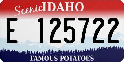 ID license plate E125722
