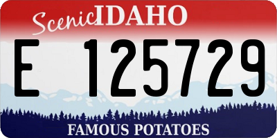 ID license plate E125729