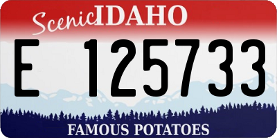 ID license plate E125733