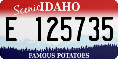 ID license plate E125735