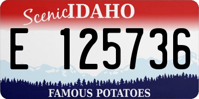 ID license plate E125736