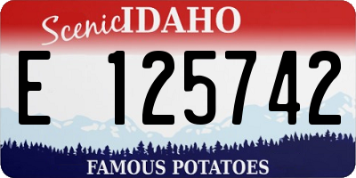 ID license plate E125742