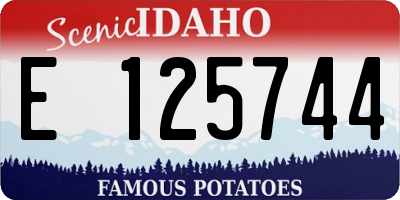 ID license plate E125744