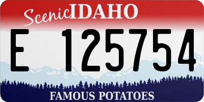 ID license plate E125754