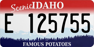 ID license plate E125755
