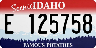 ID license plate E125758
